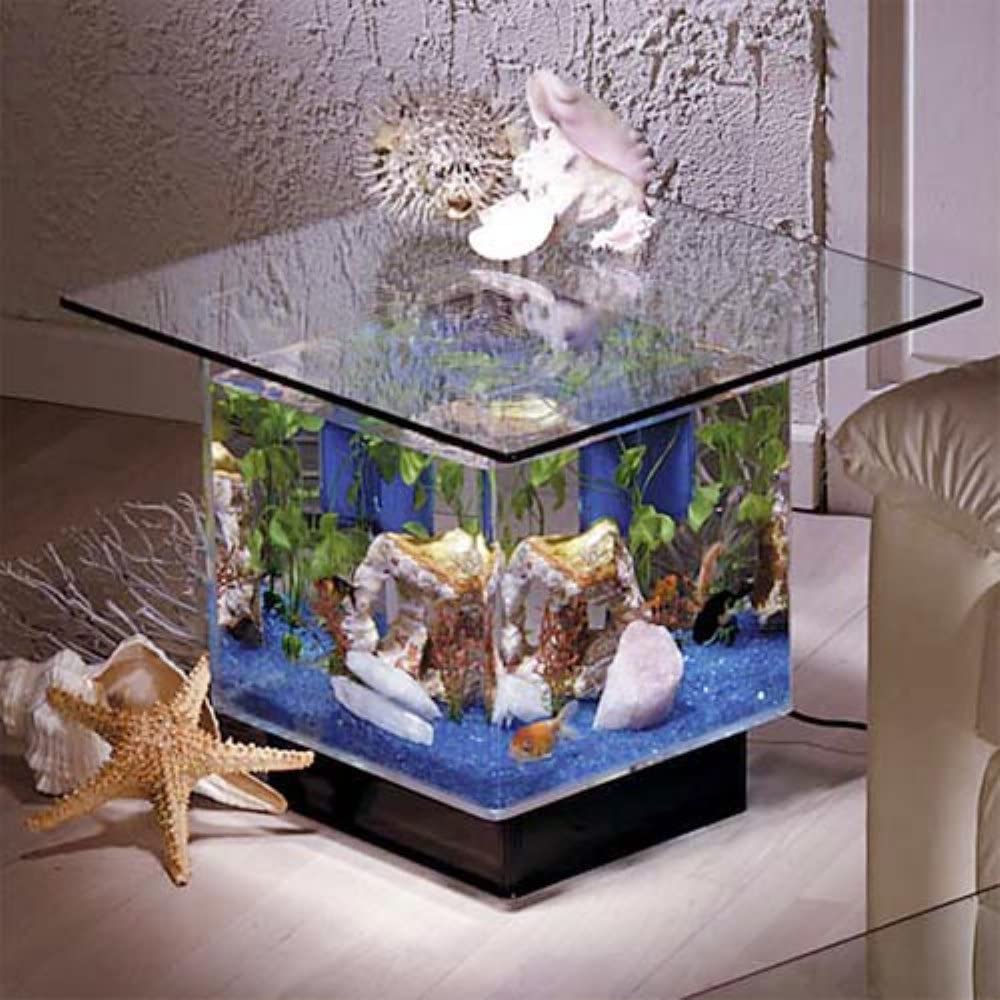 Best Fish Tank Coffee Table | 2022 Guide